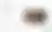 Adding an image, locked preview 6