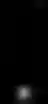 Asking Copilot (image input), locked preview 3