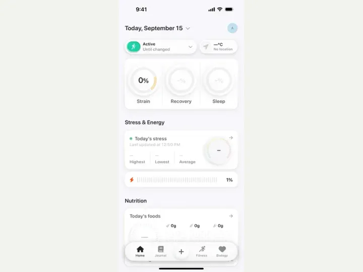 Bevel interface reference