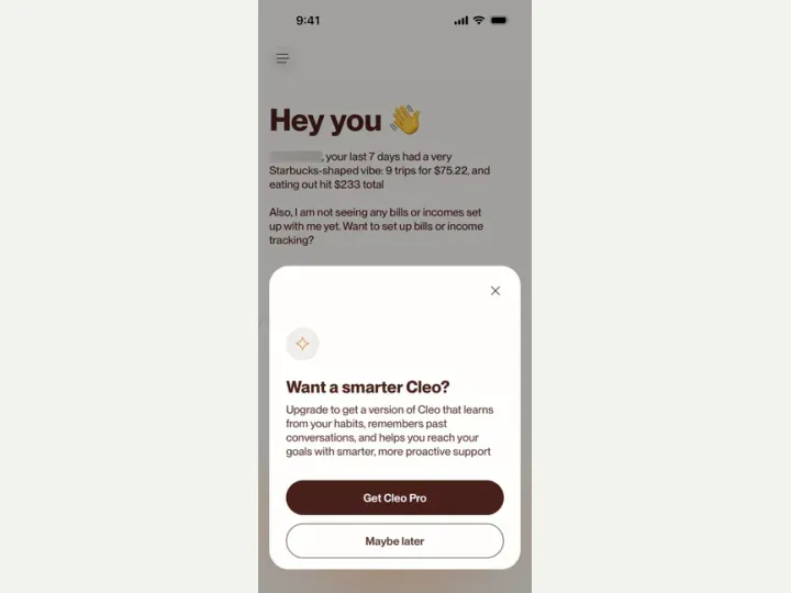 Cleo AI interface reference
