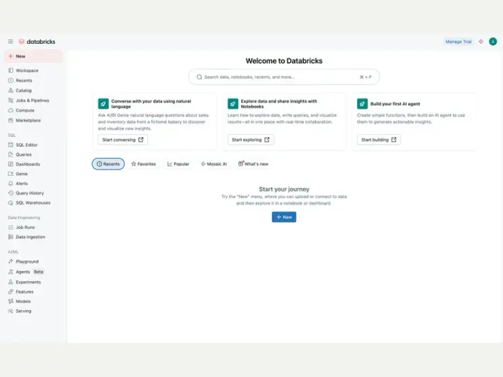 Databricks interface reference