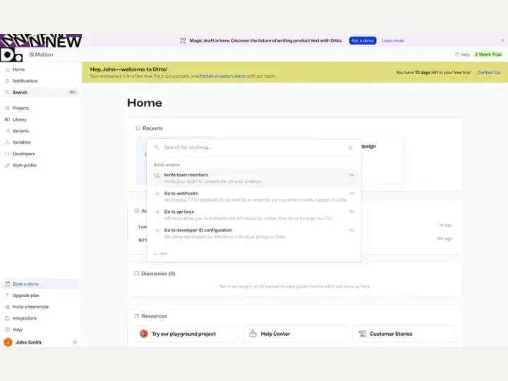Ditto interface reference