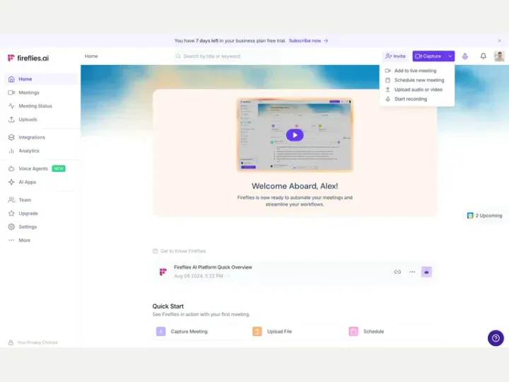 Fireflies interface reference