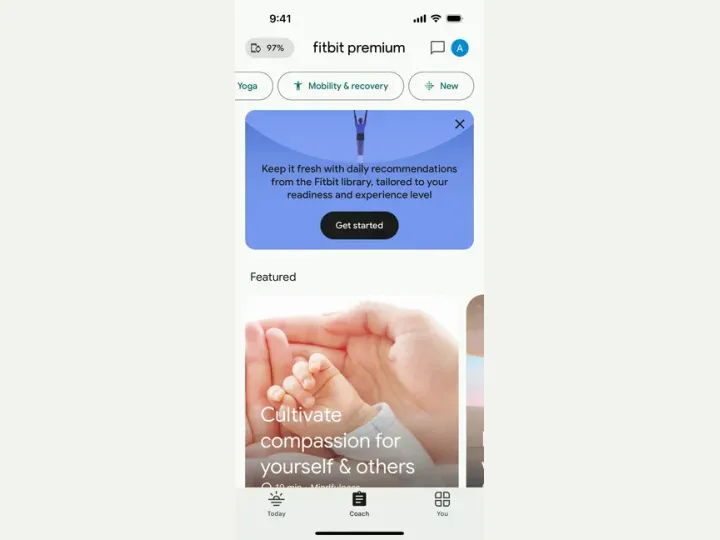 Fitbit interface reference