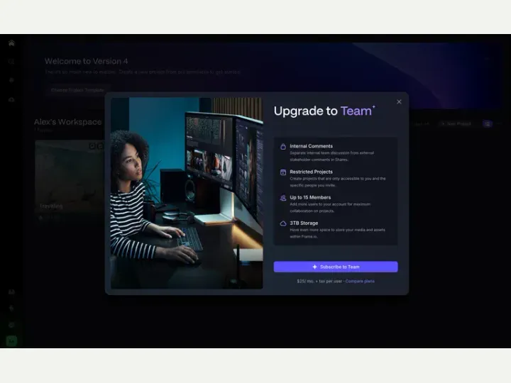 Frame.io interface reference