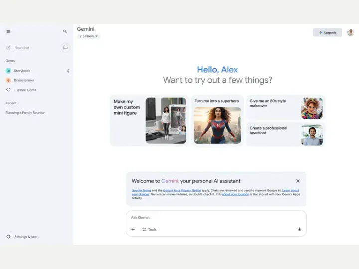 Google Gemini interface reference