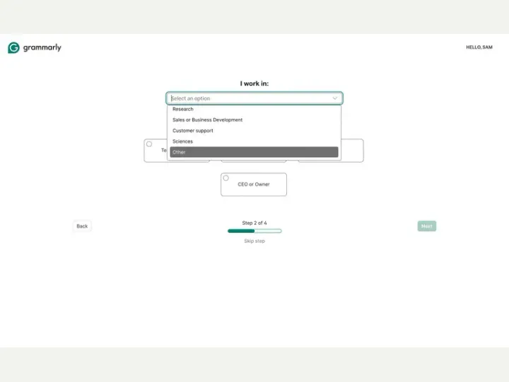 Grammarly interface reference
