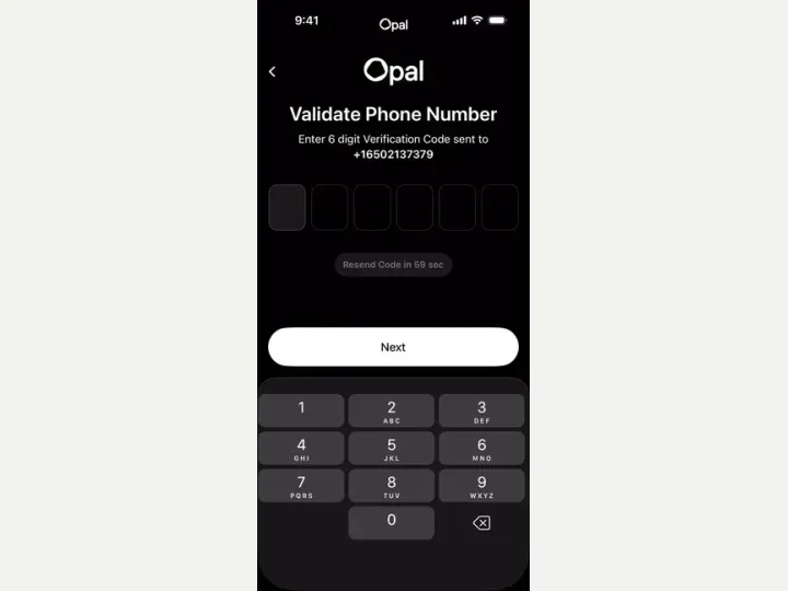 Opal interface reference