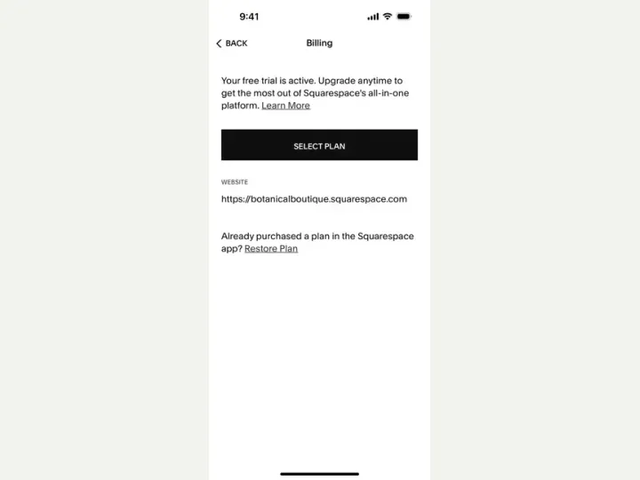 Squarespace interface reference