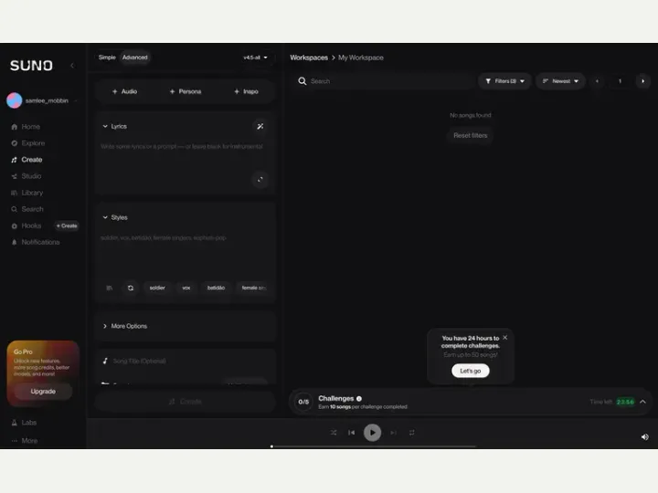 Suno interface reference