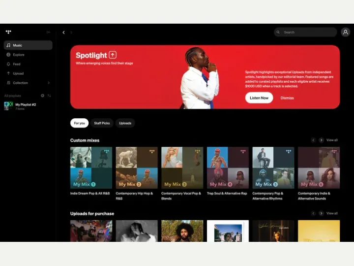 TIDAL interface reference